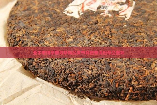 润亚中普老班章发布会