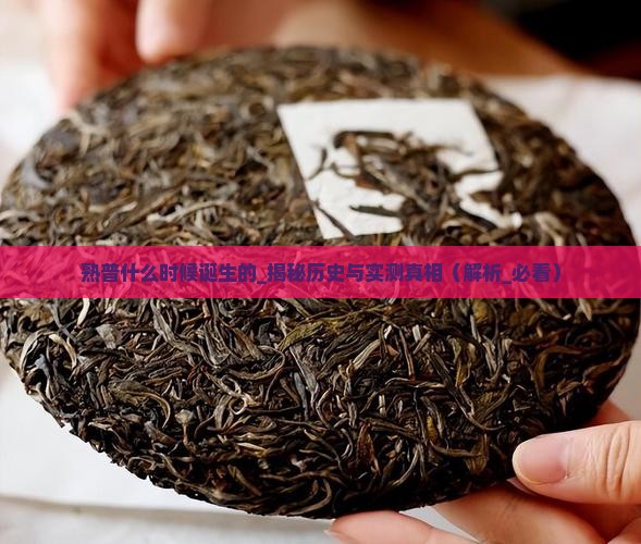 熟普什么时候诞生的