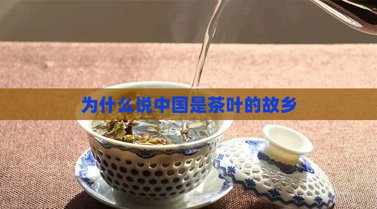 为什么说中国是茶叶的故乡