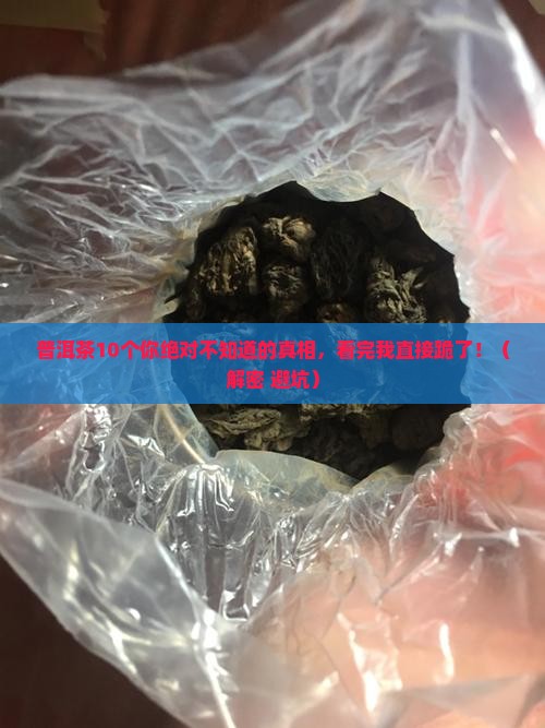 普洱茶10个常识