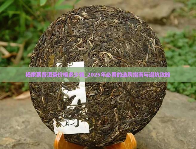 杨家寨普洱茶价格多少钱