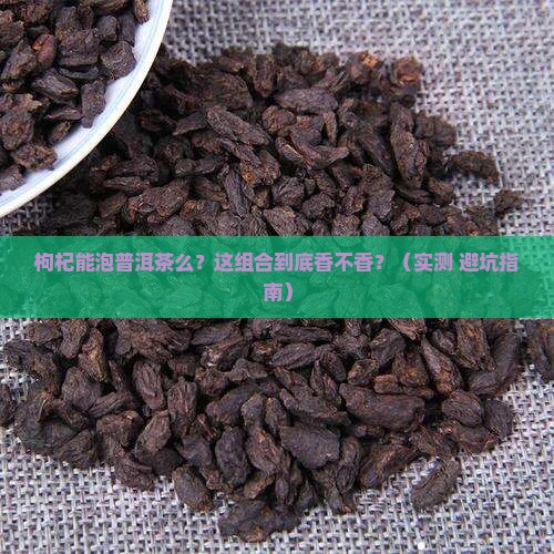 枸杞能泡普洱茶么
