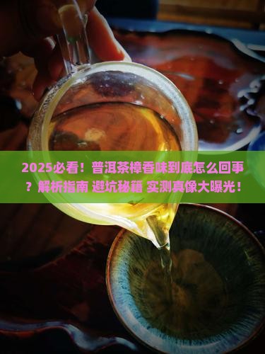 樟香味的普洱茶你喝过吗
