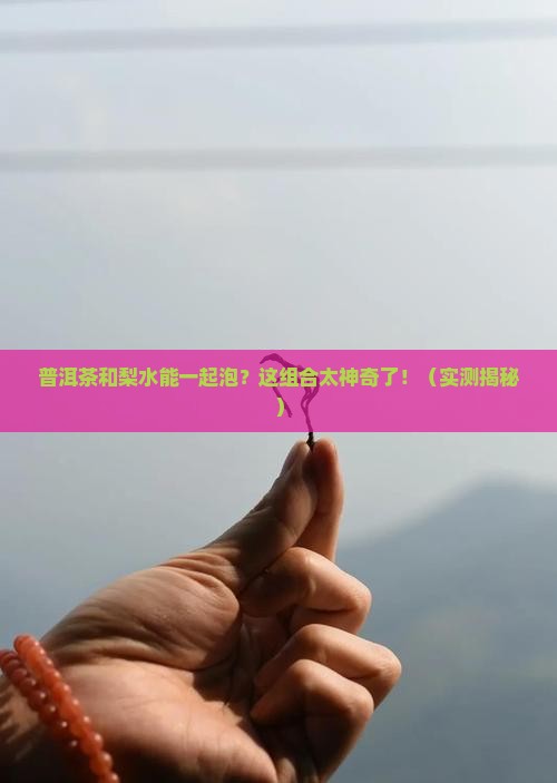 普洱茶和梨水能一起泡吗