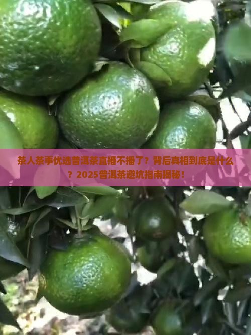 茶人茶事优选普洱茶直播不播了