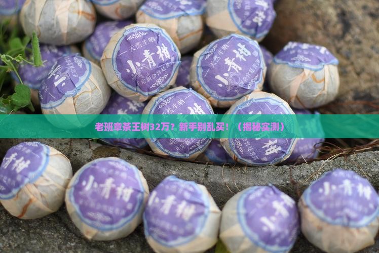 老班章茶王树32万
