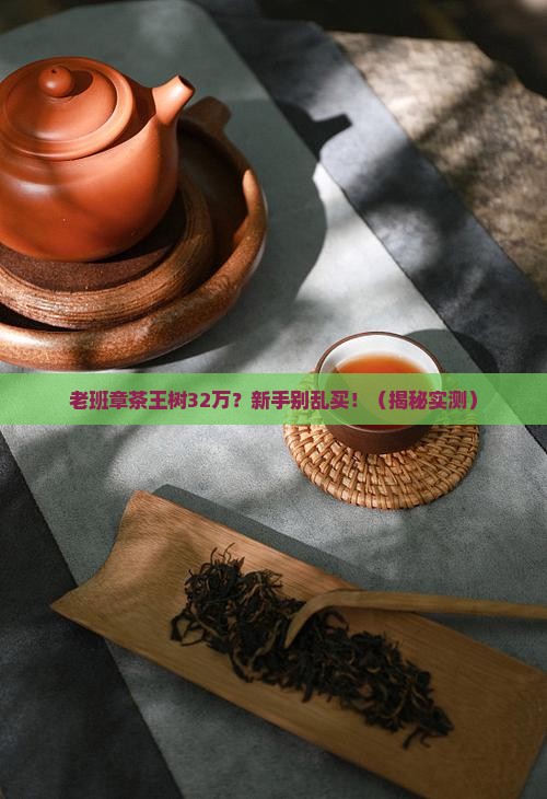 老班章茶王树32万