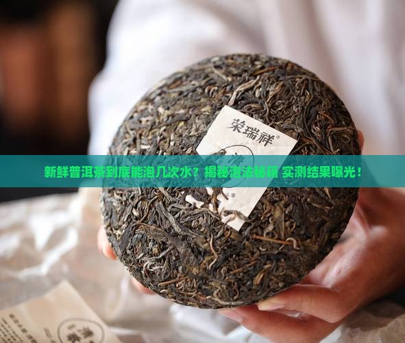 新鲜普洱茶可以泡几次水