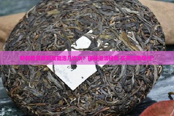 新鲜普洱茶可以泡几次水