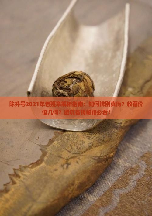 陈升号2021年老班章