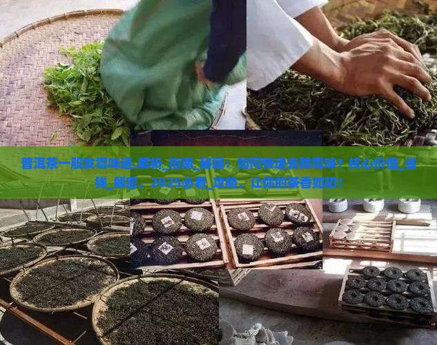 普洱茶一股发霉味道