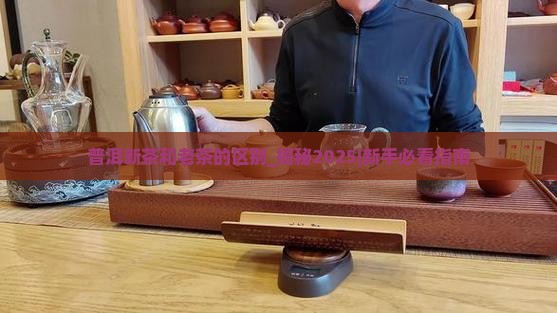 普洱新茶和老茶的区别