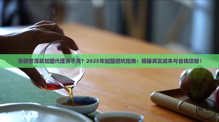 安徽普洱茶加盟代理贵不贵