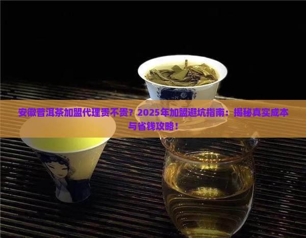 安徽普洱茶加盟代理贵不贵