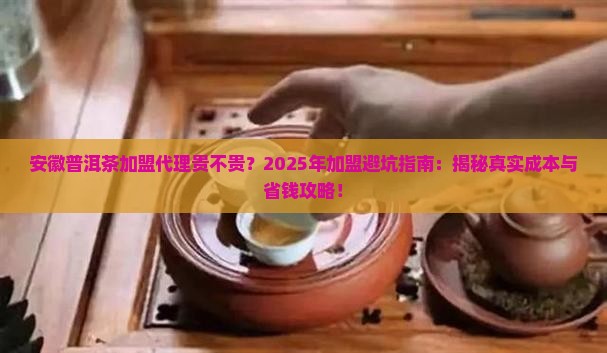 安徽普洱茶加盟代理贵不贵