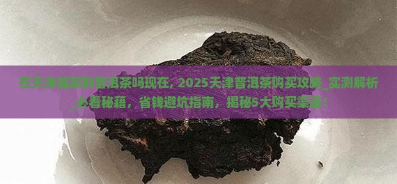 在天津能买到普洱茶吗现在