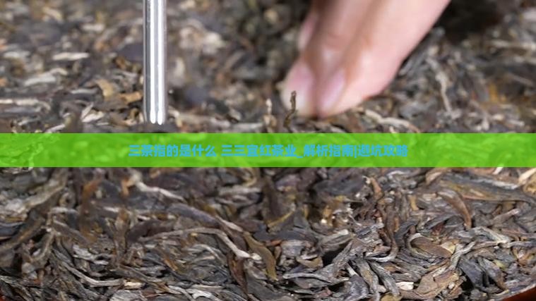 三茶指的是什么三三宜红茶业