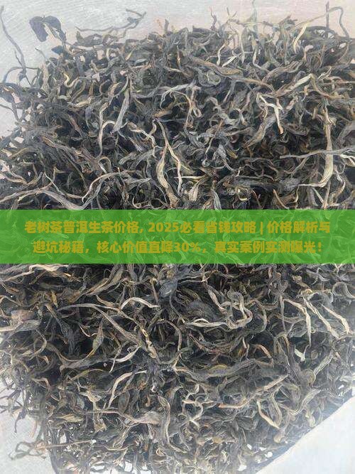 老树茶普洱生茶价格