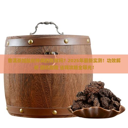 普洱茶加盐杜仲的功效