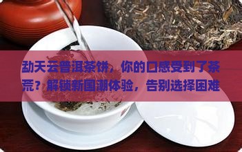 勐天云普洱茶饼