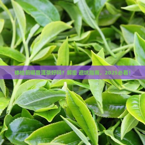 体检前喝普洱茶好吗