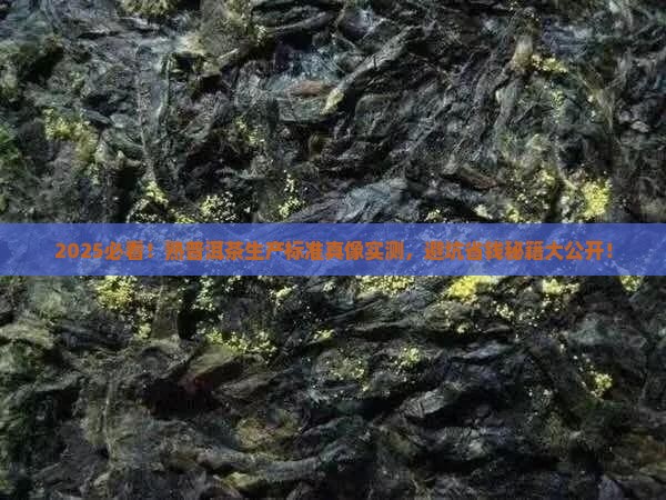 熟普洱茶生产标准