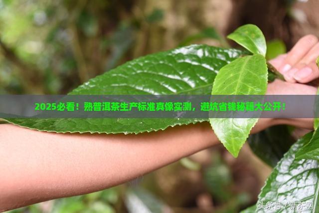 熟普洱茶生产标准