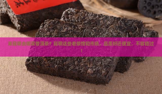 来昆明去哪买普洱茶