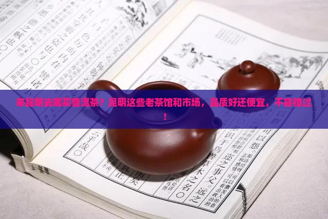 来昆明去哪买普洱茶