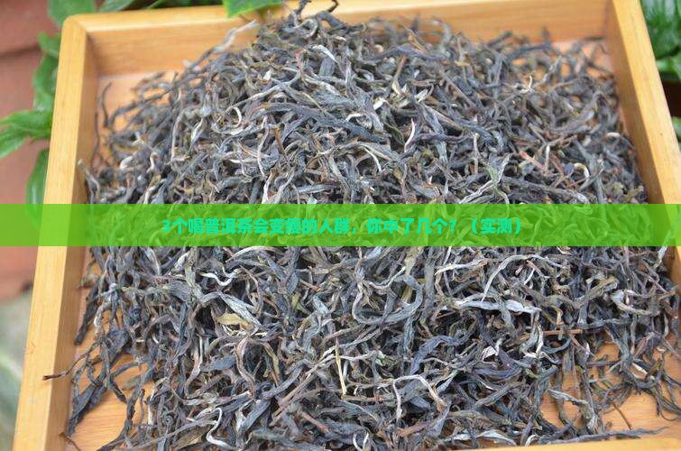 喝普洱茶适应人群