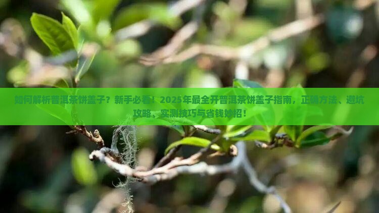 教您如何弄开普洱茶饼盖子
