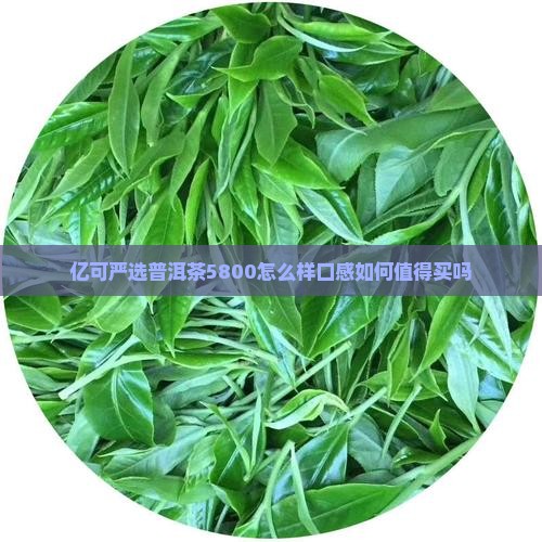 亿可严选普洱茶5800怎么样 亿可严选普洱茶5800怎么样