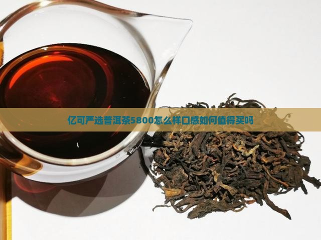 亿可严选普洱茶5800怎么样 亿可严选普洱茶5800怎么样