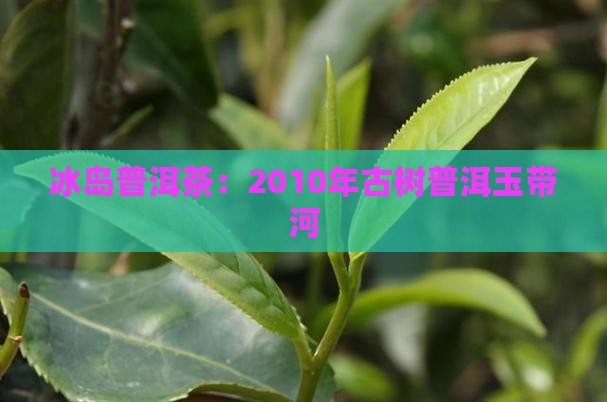 2010年冰岛古茶玉带河