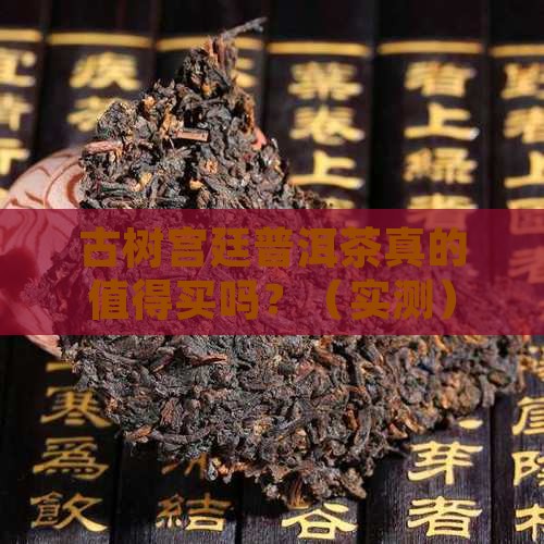 古树宫廷普洱茶好吗