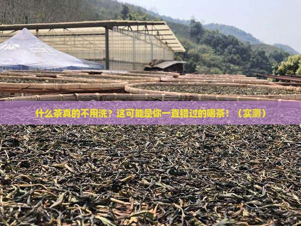 什么茶不需要洗茶