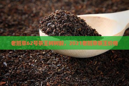 老班章62号茶王树树龄