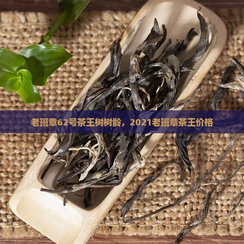 老班章62号茶王树树龄
