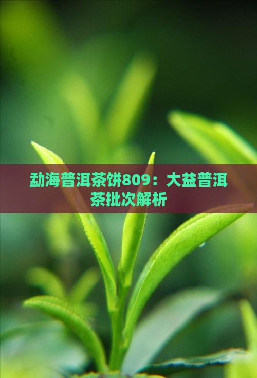 勐海普洱茶饼809是什么意思