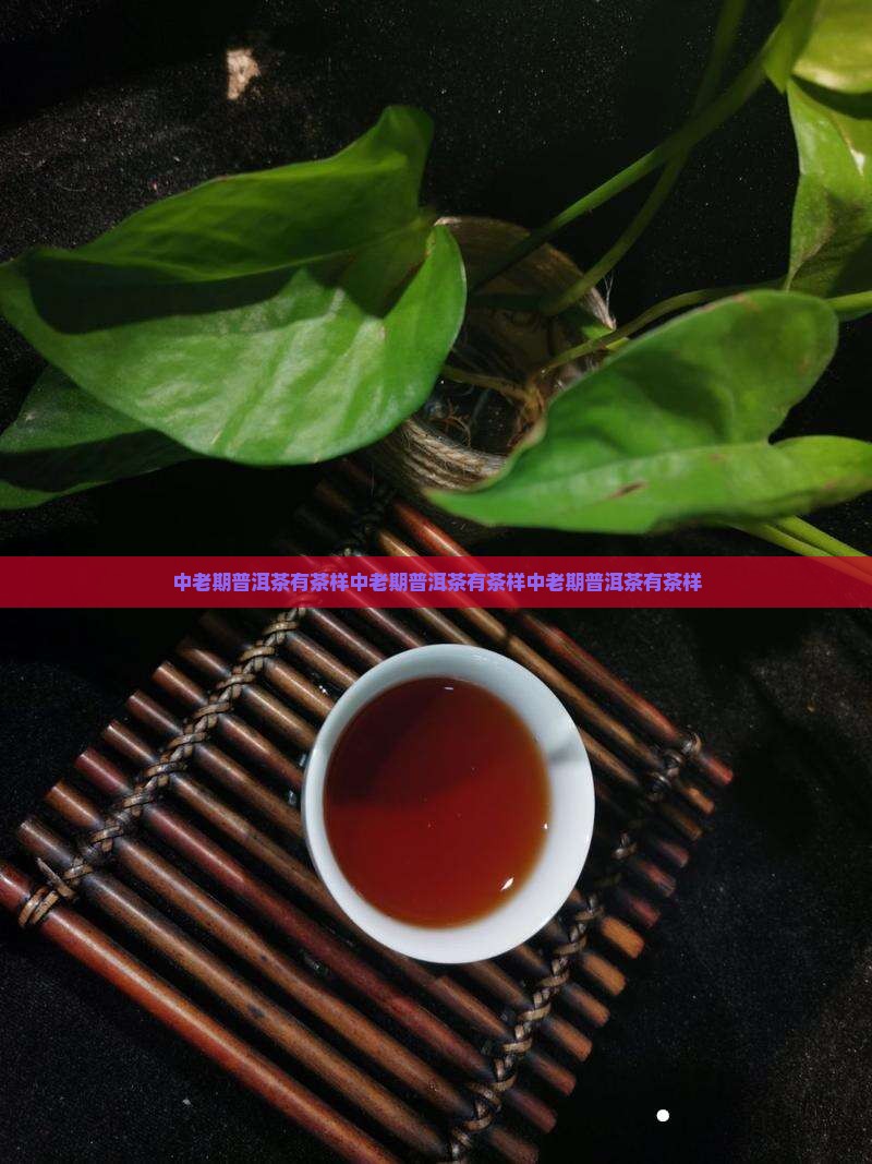 中老期普洱茶有茶样