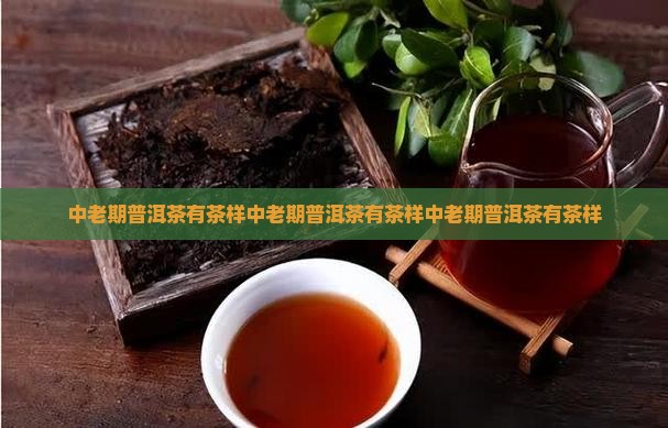 中老期普洱茶有茶样
