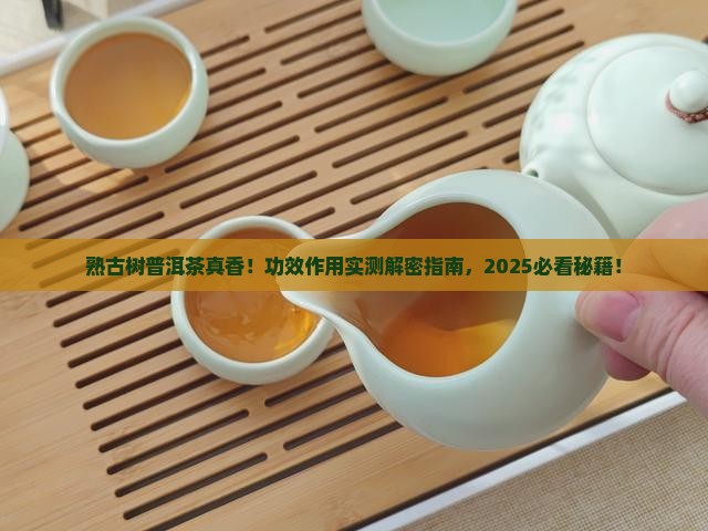 熟古树普洱茶功效作用