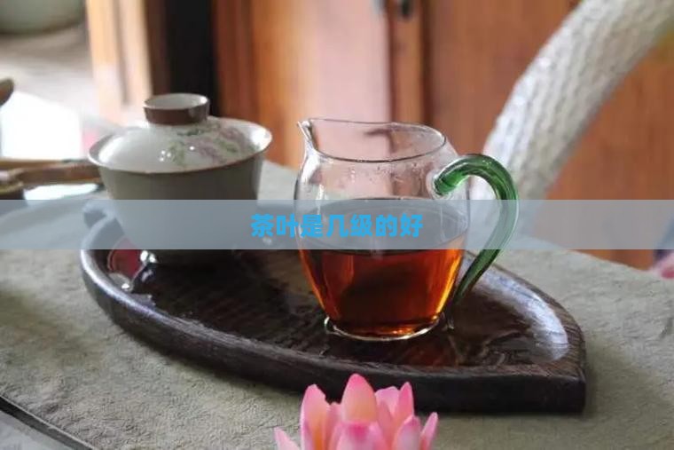 茶叶是几级的好