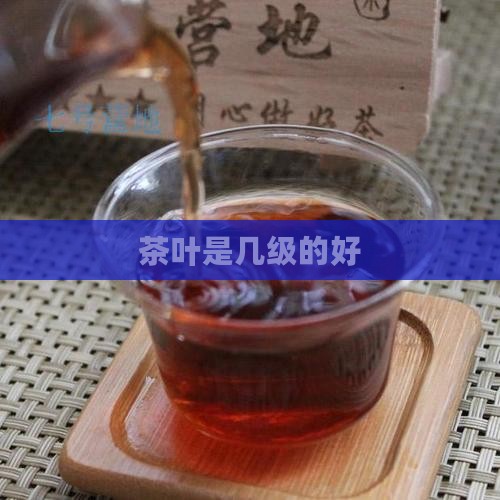 茶叶是几级的好