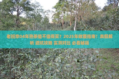 老班章04年熟茶