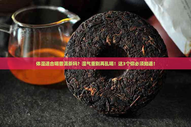 体湿适合喝普洱茶吗