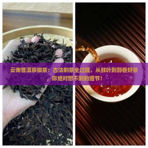 云南普洱茶做茶
