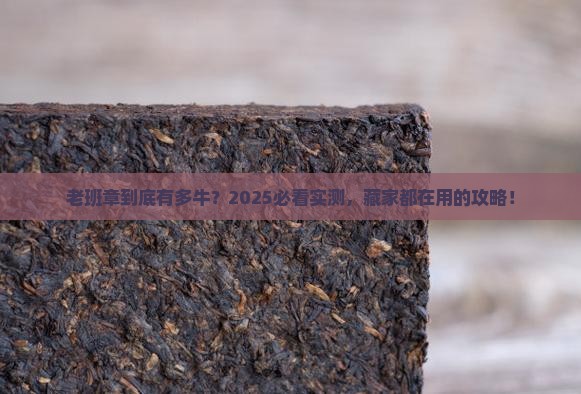 关于老班章的知识