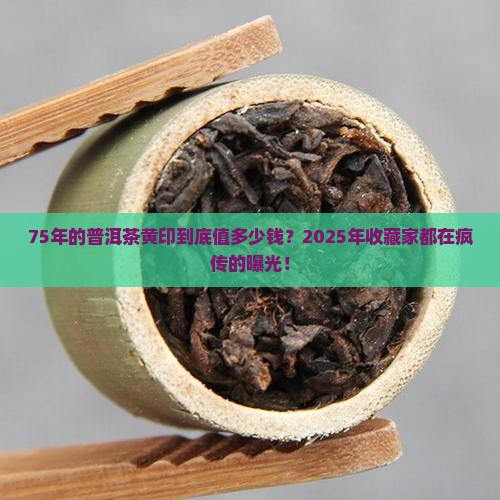 75年的普洱茶黄印多少钱