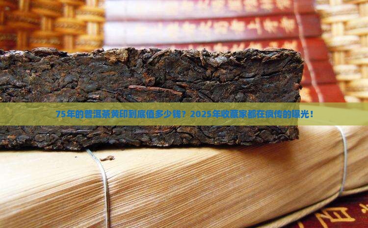 75年的普洱茶黄印多少钱